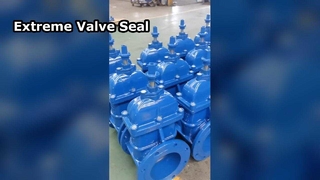 نمایش زنده محصول